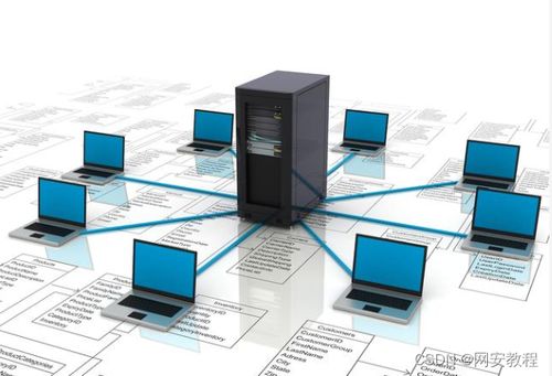 計算機網絡技術專業 聚焦軟硬件開發，解鎖熱門就業方向與廣闊前景