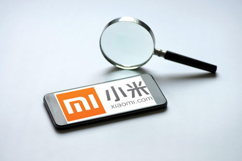 小米強化隱私保護與信息安全 第一優(yōu)先級的戰(zhàn)略抉擇